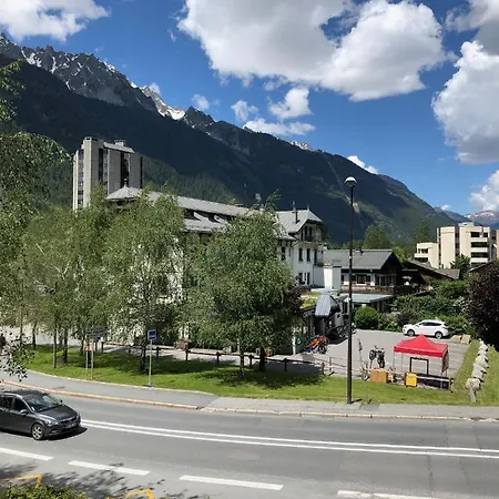 Grey Squirrel Chamonix Mont Blanc