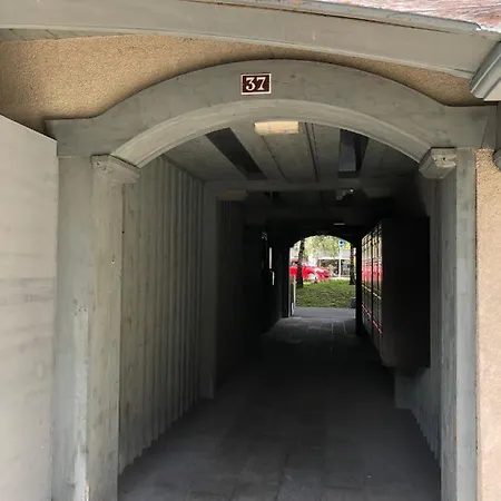 Grey Squirrel * Chamonix